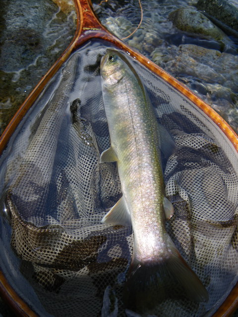 c0202727_2052617.jpg