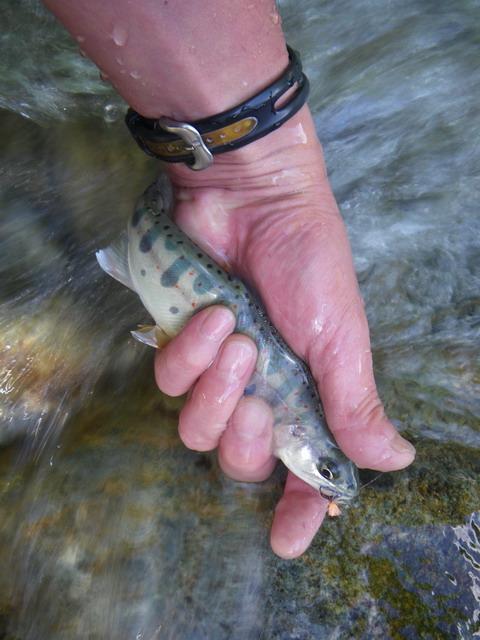 c0202727_20534952.jpg