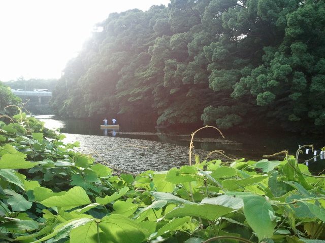 c0195134_15394153.jpg