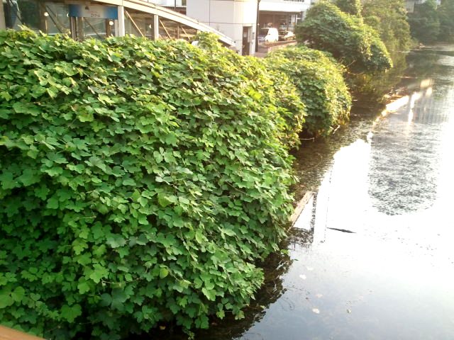 c0195134_15395272.jpg