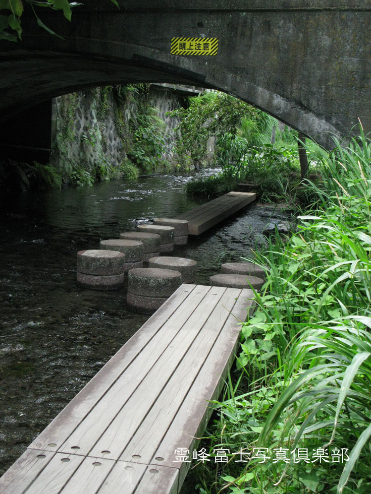 水辺の遊歩道③_d0294539_972216.jpg