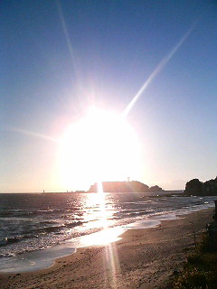 blog;今週の予定_a0103940_22111441.jpg