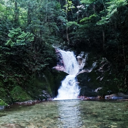 c0199544_22523992.jpg