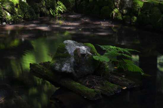 c0093046_6322142.jpg