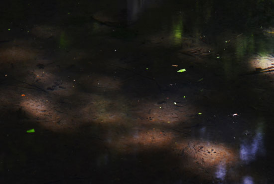 c0093046_632456.jpg