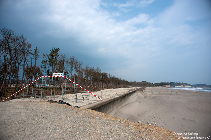 d0080957_20573872.jpg