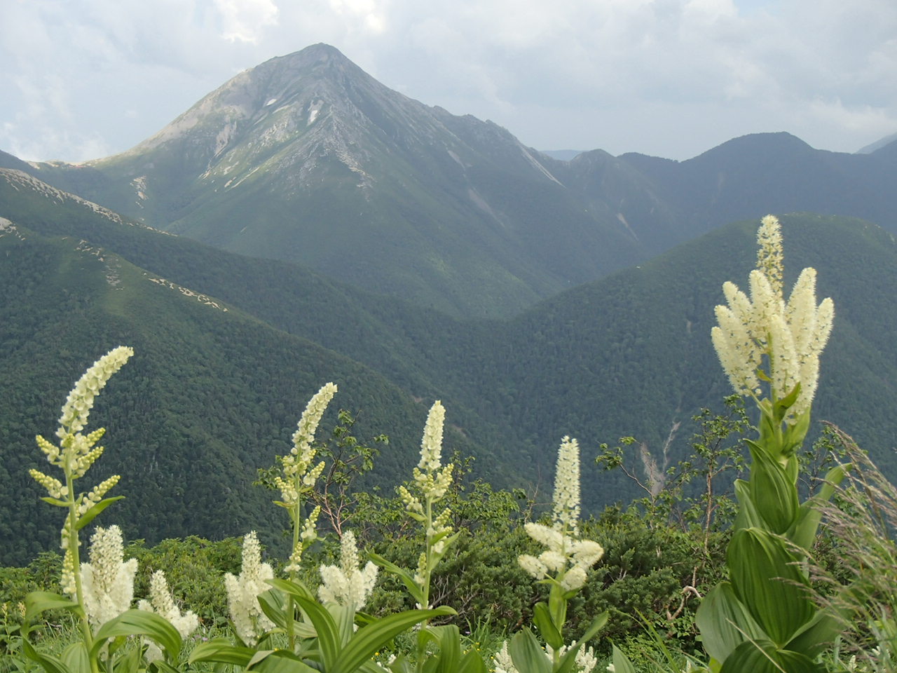 b0276758_11212761.jpg