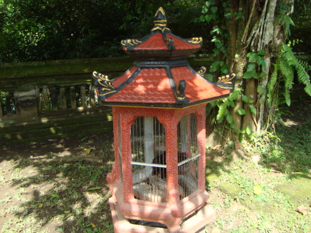 バリ島へ行く。⑥ ~変わりゆく町と変わらない場所~_f0232060_0331755.jpg