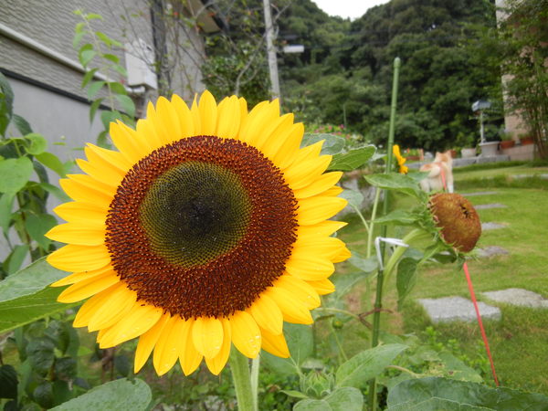 ’13,8,5(月)美味しいイタリアンが食べた~い!_f0060461_9205497.jpg