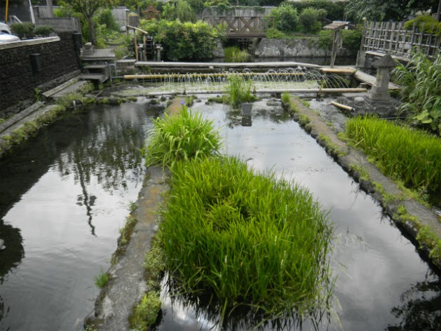 f0230467_2357586.jpg