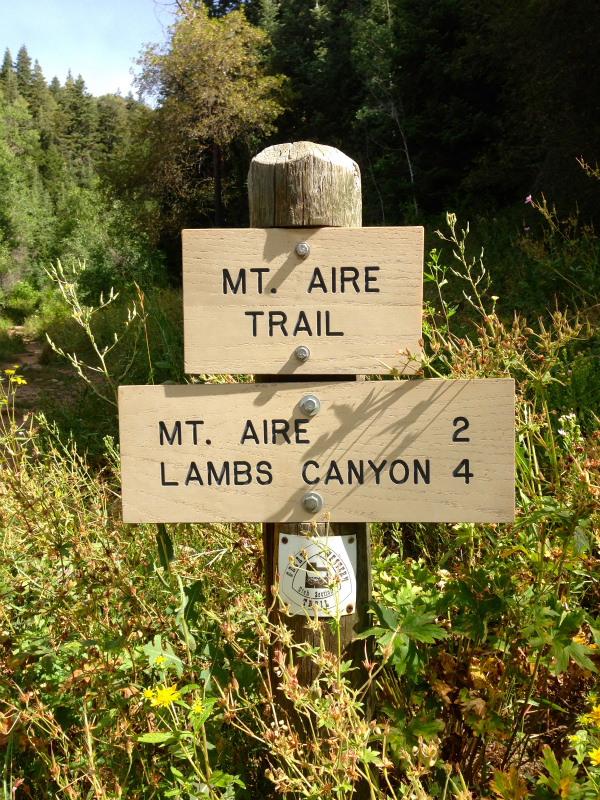 2013/08/04 Summer USA Trip -Mt.Aire Trail of Wasatch Range-_b0220886_14571890.jpg