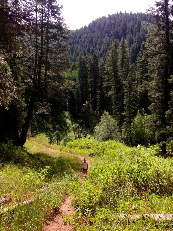2013/08/04 Summer USA Trip -Mt.Aire Trail of Wasatch Range-_b0220886_14584996.jpg