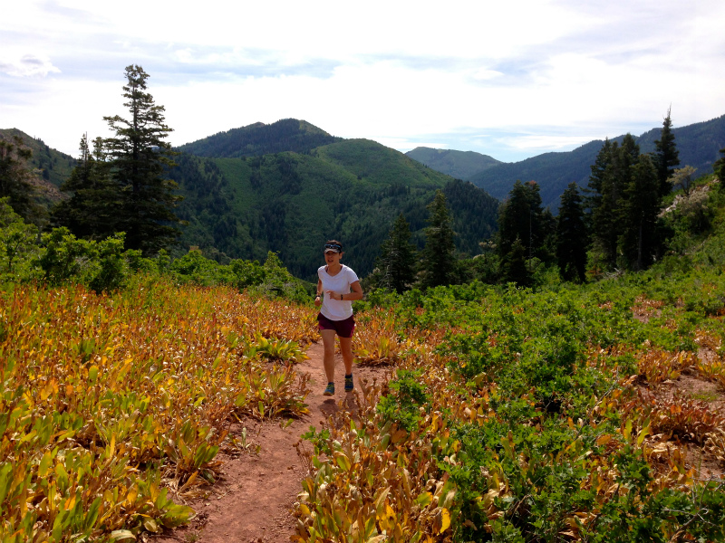 2013/08/04 Summer USA Trip -Mt.Aire Trail of Wasatch Range-_b0220886_14595926.jpg