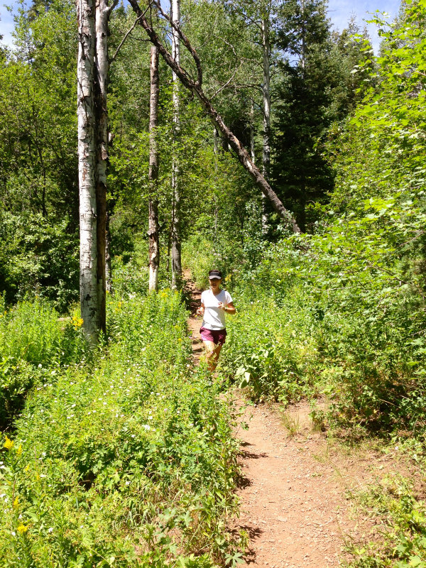 2013/08/04 Summer USA Trip -Mt.Aire Trail of Wasatch Range-_b0220886_15112378.jpg