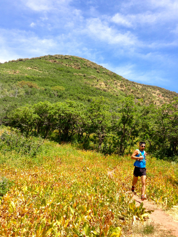 2013/08/04 Summer USA Trip -Mt.Aire Trail of Wasatch Range-_b0220886_154586.jpg
