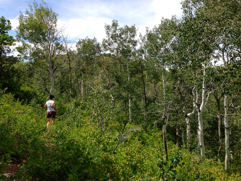 2013/08/04 Summer USA Trip -Mt.Aire Trail of Wasatch Range-_b0220886_1564928.jpg