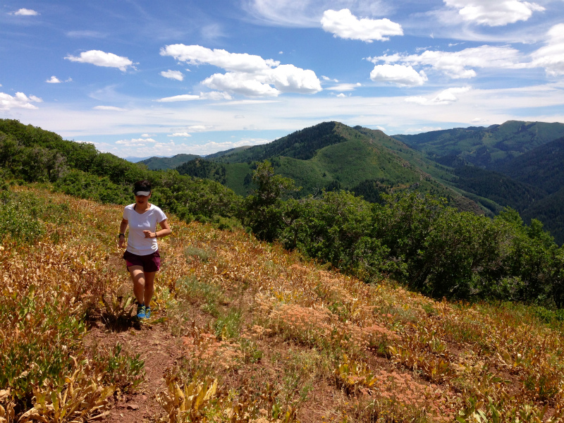2013/08/04 Summer USA Trip -Mt.Aire Trail of Wasatch Range-_b0220886_1572522.jpg