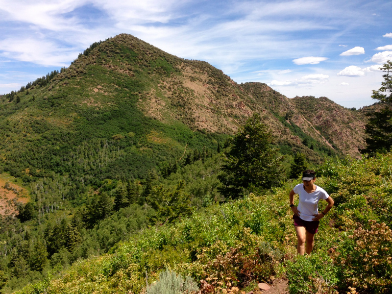 2013/08/04 Summer USA Trip -Mt.Aire Trail of Wasatch Range-_b0220886_157845.jpg