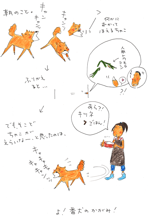「>」 パート2 ちゃこさんの手柄_f0236291_12143935.gif