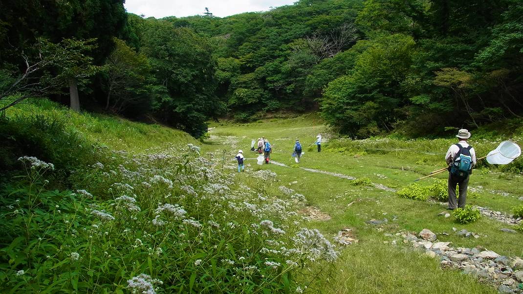 a0152692_1843369.jpg