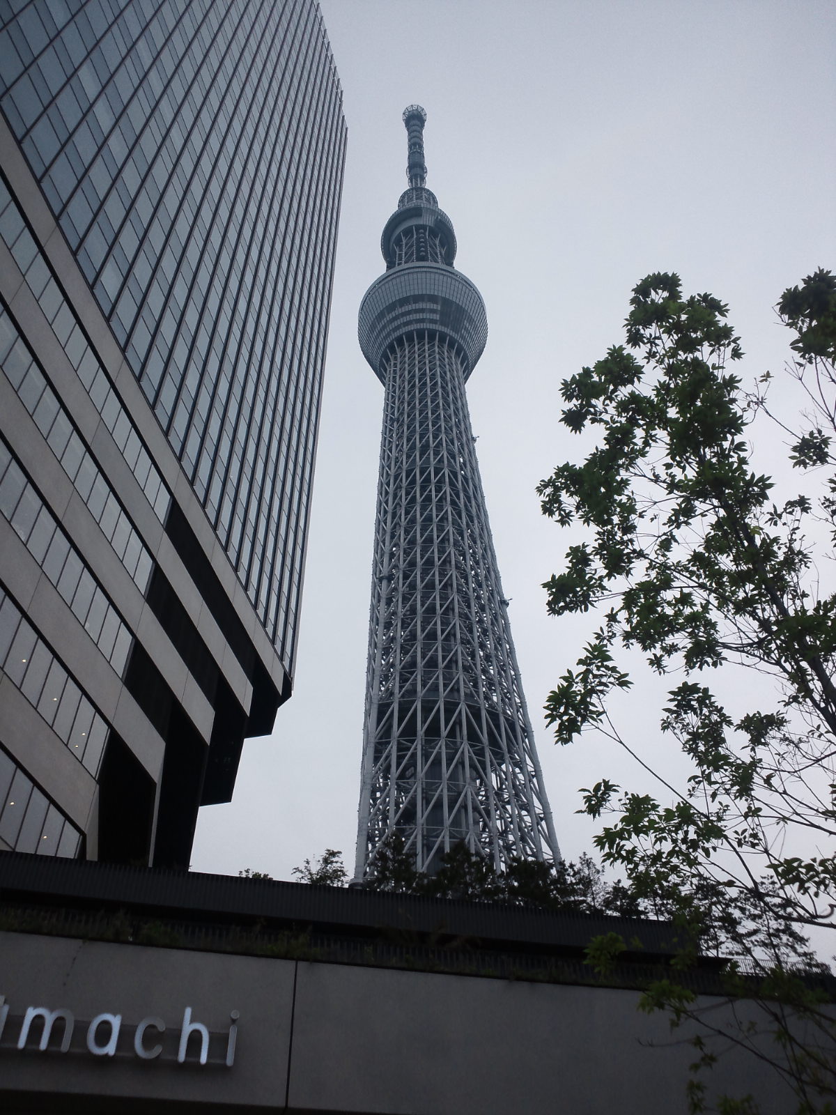 a0196698_1543198.jpg