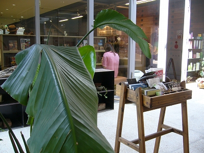 c0212298_13165926.jpg