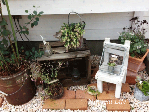 b0162000_6383173.gif