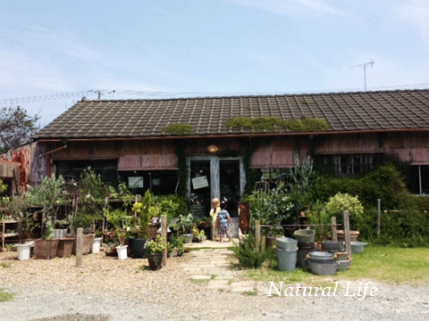 b0162000_64558.gif