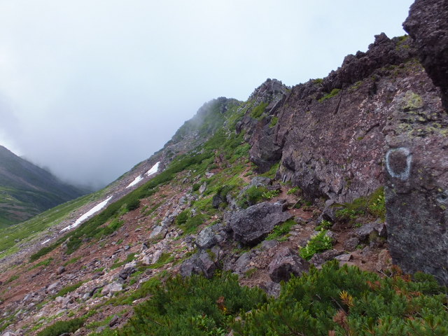 a0271502_20445193.jpg