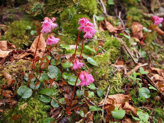 e0252707_23115925.jpg