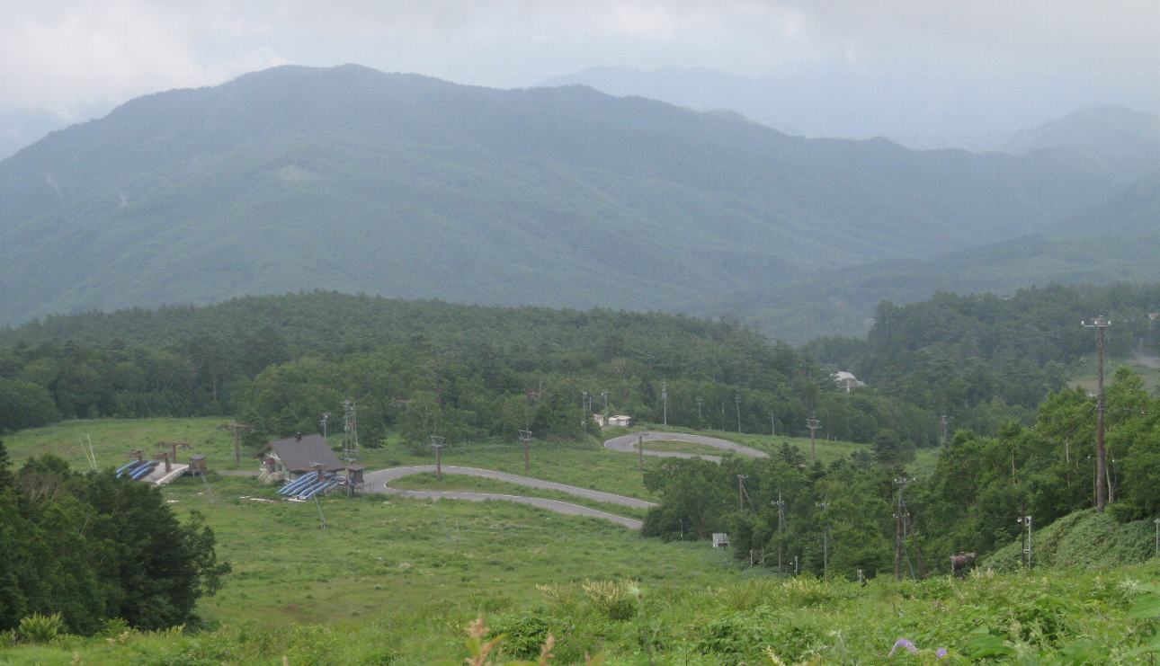 e0003910_1444745.jpg
