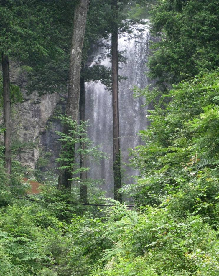 e0003910_145533.jpg
