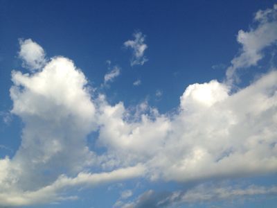 d0251120_19161882.jpg