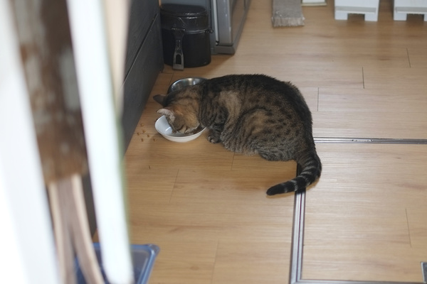 仕事はじめ_f0034922_19452074.jpg