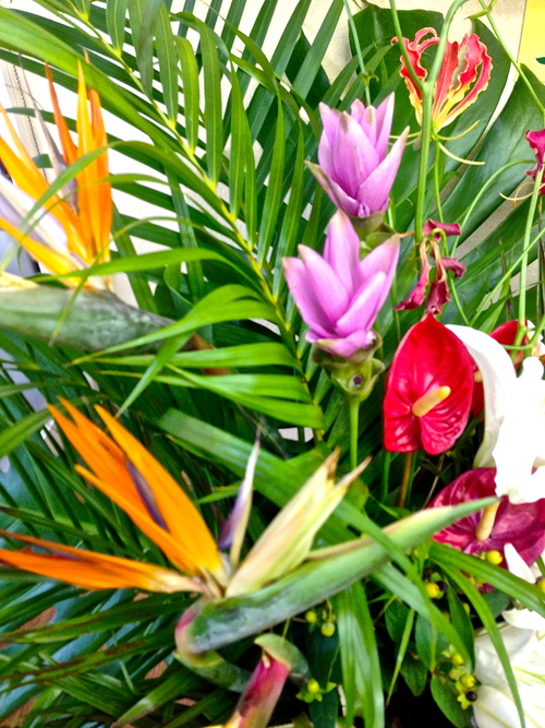 今週のお花とセール情報_a0200423_18562267.jpg