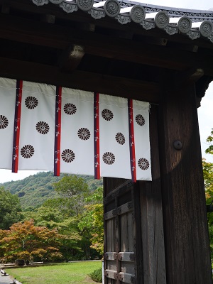 夏の花満開　　　～　勧修寺　（京都）　～_c0235725_18234333.jpg