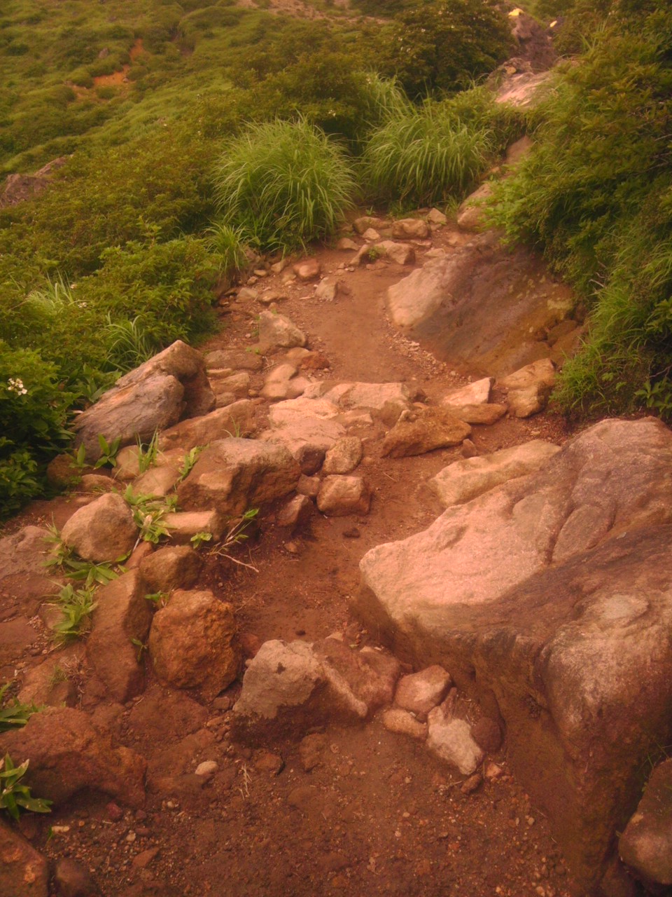 a0220528_23272230.jpg