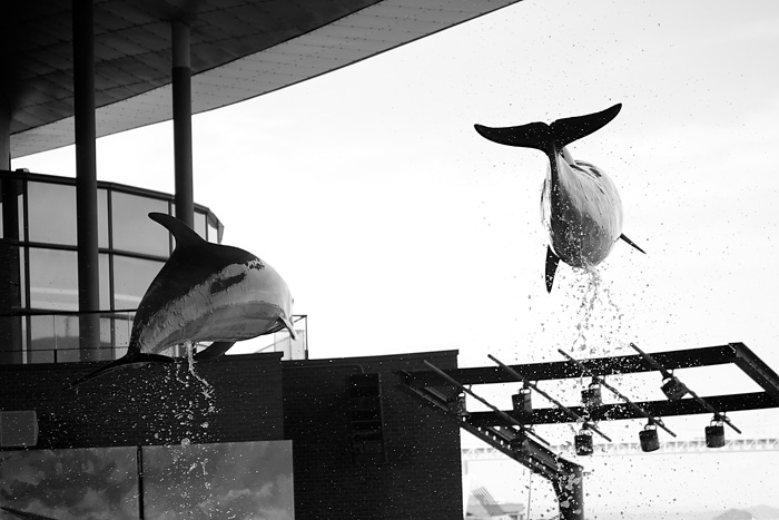 c0195828_0302730.jpg