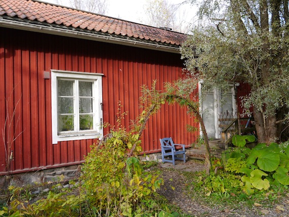 b0198131_935138.jpg