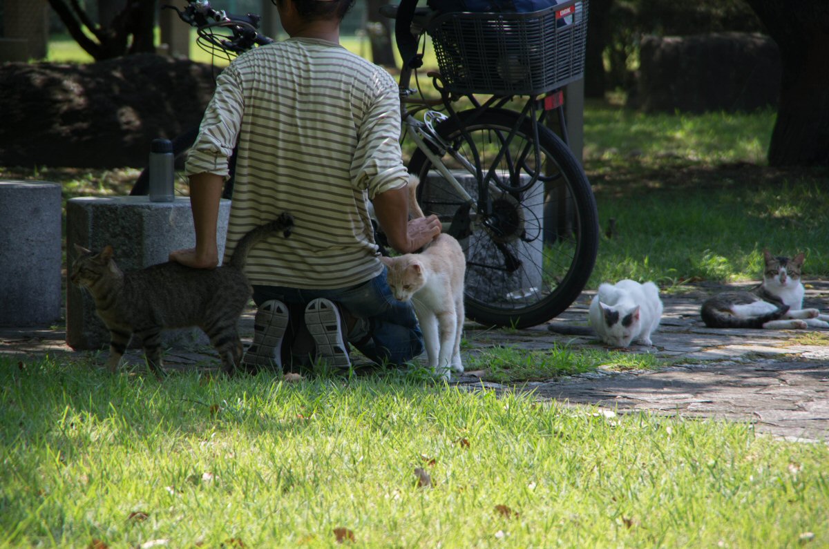 この夏最後の自転車通勤_d0032931_22314180.jpg