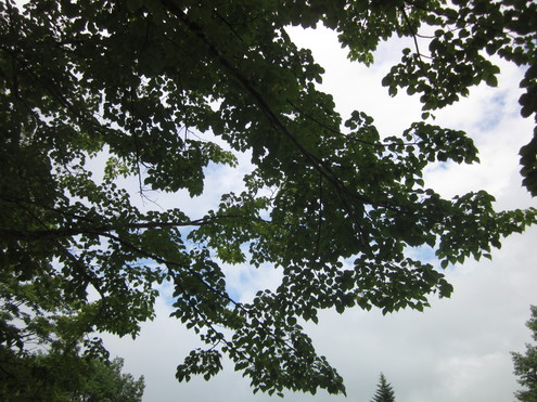 a0291132_14141867.jpg