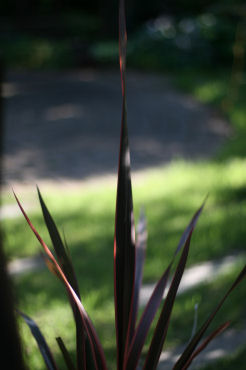 f0002534_20174756.jpg
