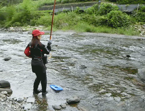 a0056140_11415987.gif