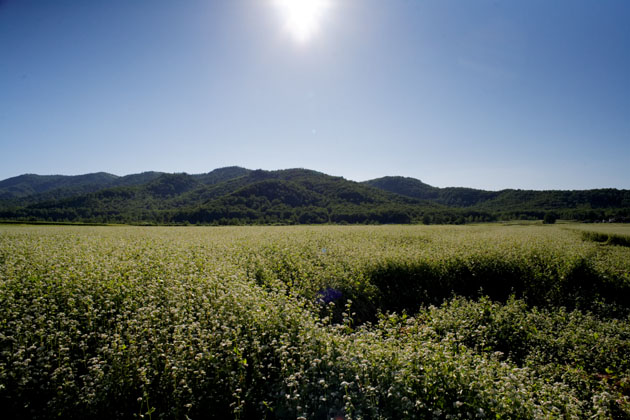 f0080743_23385849.jpg