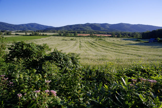 f0080743_23392670.jpg
