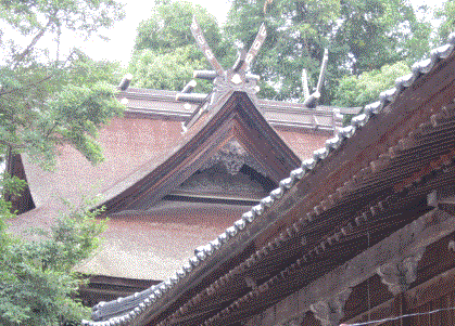 a0237545_220024.gif