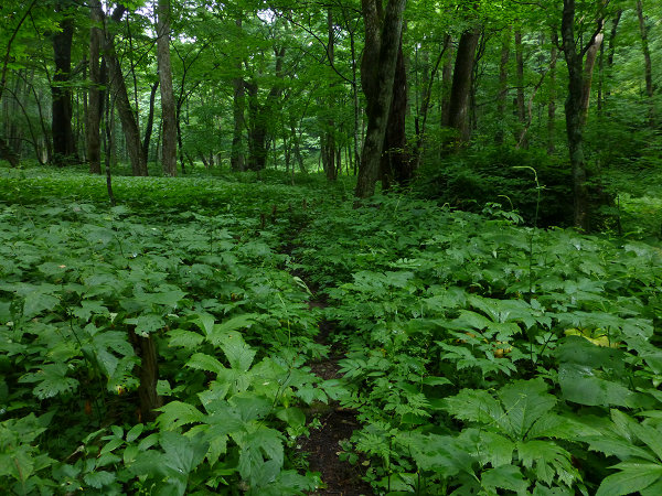 c0081645_23553690.jpg