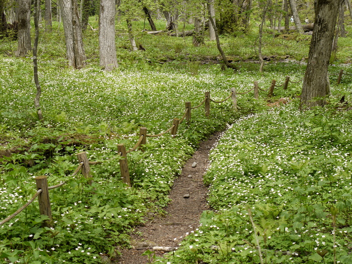 c0081645_23581181.jpg