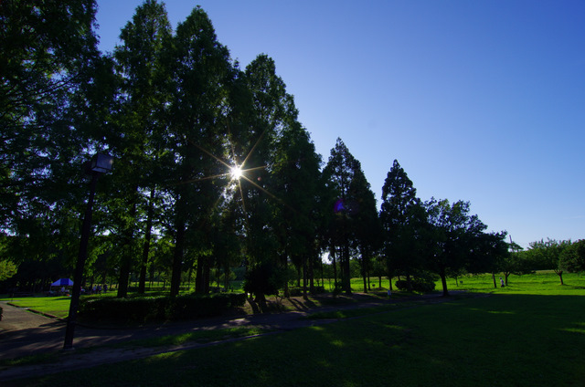 d0186245_1342957.jpg