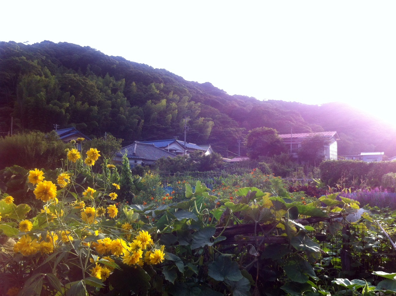 今年も変わらないオトナを忘れる旅。_a0095746_15112244.jpg